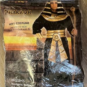 Men’s Pharaoh Costume